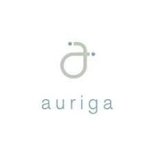 Logo Los Auriga Spa - Barrio Santiago